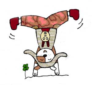 This image has an empty alt attribute; its file name is radschlag-1-300x280.png